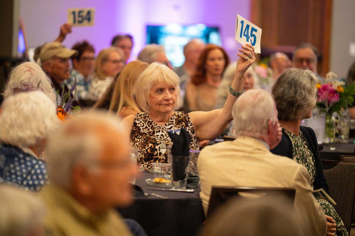 2026 TAP Annual Gala