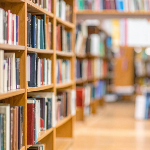 Check Out TAP Community Program at Third Avenue PlayWorks